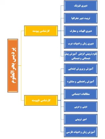 رشته های موجود در دانشگاه