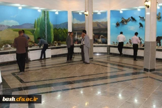 بازدید دانشجویان شرکت کننده در جشنواره از موزه تاریخ طبیعی استان