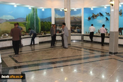 بازدید دانشجویان شرکت کننده در جشنواره از موزه تاریخ طبیعی استان