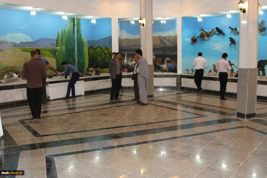 بازدید دانشجویان شرکت کننده در جشنواره از موزه تاریخ طبیعی استان 2