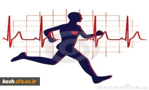 ( به زودی ) آماده سازی فضای ورزشی در پردیس بحرالعلوم