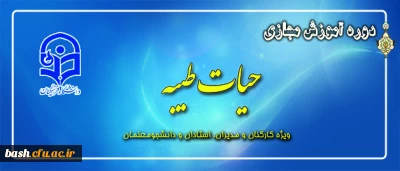 طرح معرفتی حیات طیبه مجازی آغاز شد